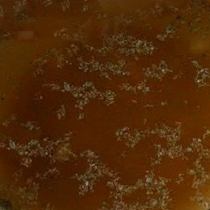 Уксусно-горчичный соус к пельменям 30гр - "Резвый лось" - служба доставки еды в Ивделе